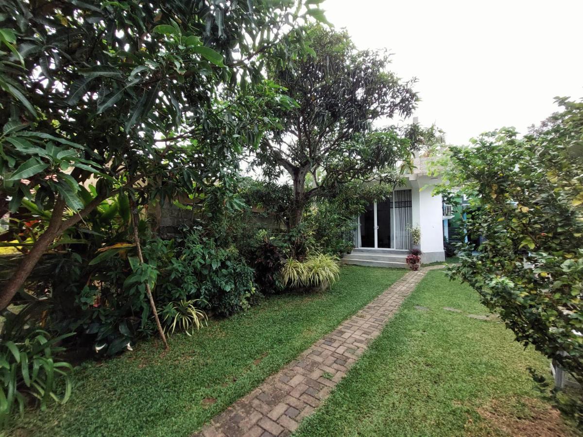 Chen Villa - Near Airport Negombo Eksteriør billede